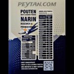 پروتئین وی آلبومین پوتن - 12 ساشه 30 گرمی - وانیلی - تصویر 3